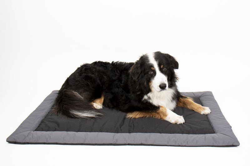 Camp4 Outdoor-Hundedecke ABBY – wasserfeste Hundematte