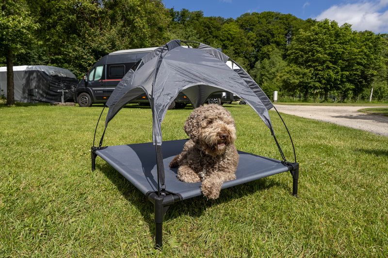 Camp4 Hundeliege mit Sonnendach – erhöhtes Hundebett für Camping und Reisen